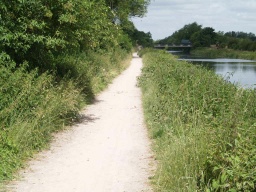 Image on trail